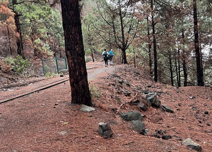 Liudis Apartamento *